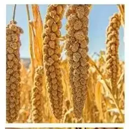 

Многофункциональная молотарка для пшеницы, молотилка для риса, шелушитель соевых бобов для машины для измельчения фермы