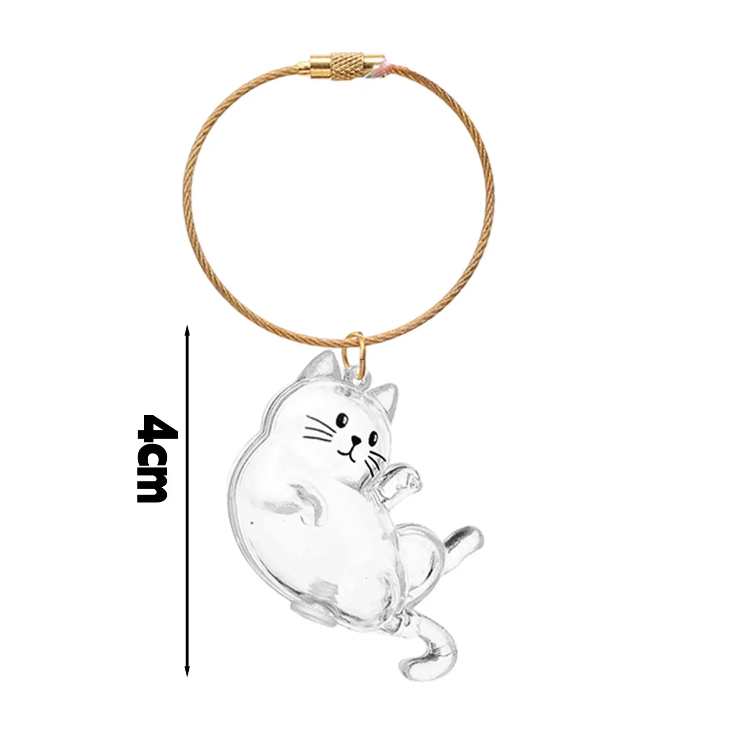 F Sleeping Cat