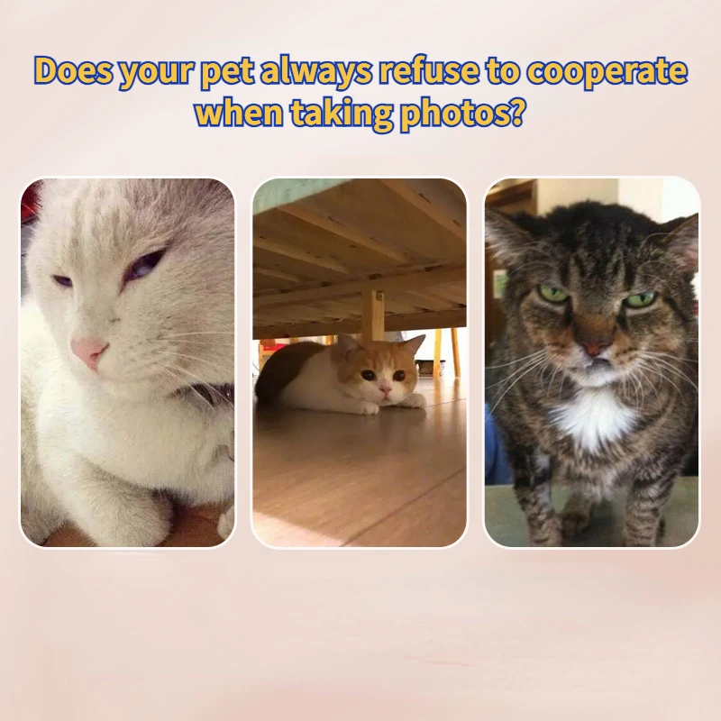 Pets Selfie Stick Selfie Artifact Dogs Cats Toys Look At The Camera Phone Clip Take Pictures of Pet Dog Cat Supplies Accessories