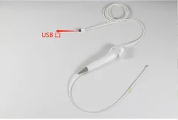 2024 Nasopharyngoscope China BESDATA Portable Low Price Flexible Endoscopy 3.8mm HD Rhinolaryngoscope For Examination Diagnose