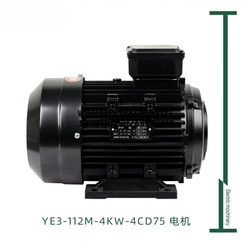 High-pressure washer all-copper three-phase asynchronous motor, high-flow high-pressure plunger pump inner shaft motor