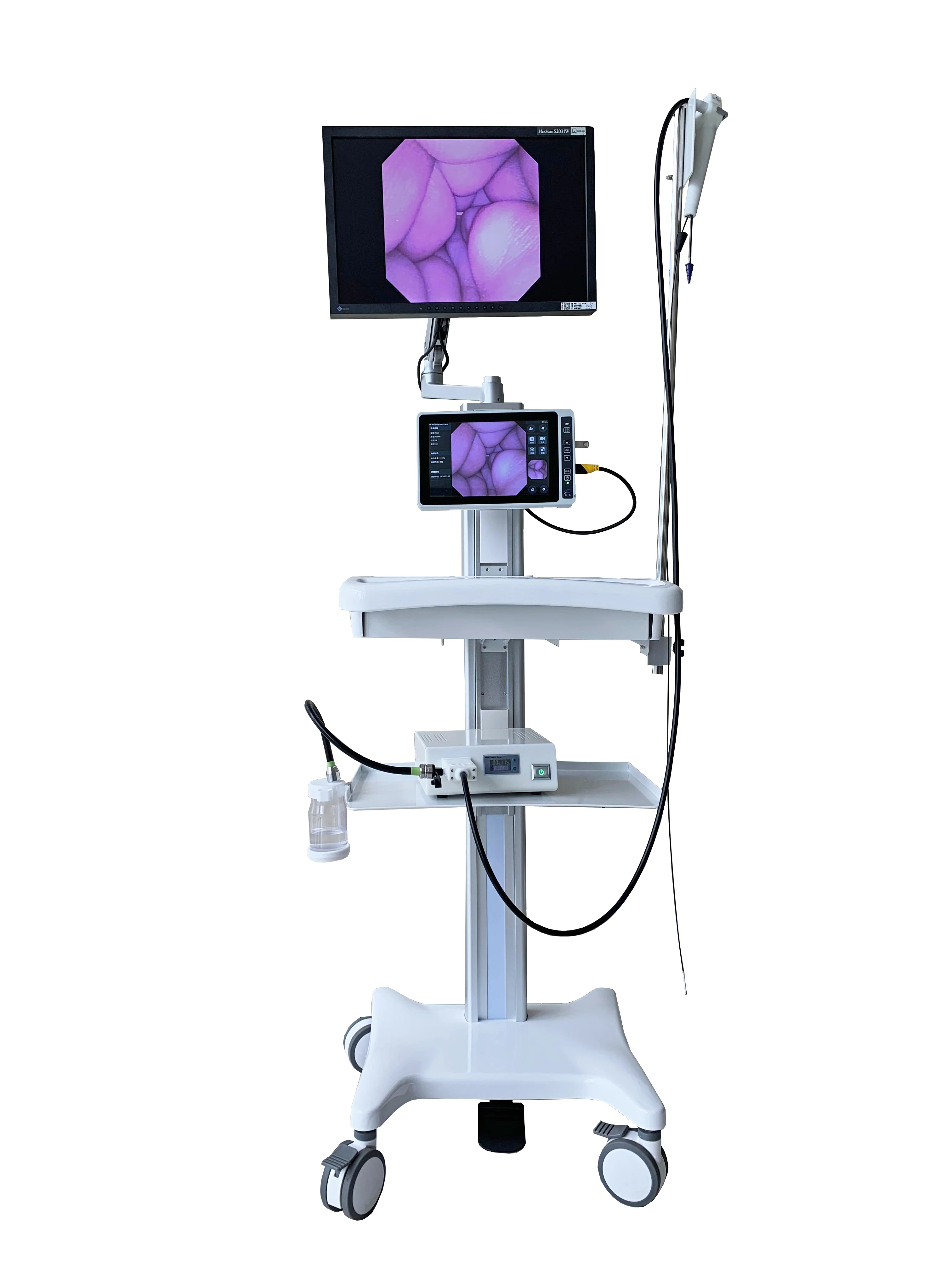 Disposable Flexible Video Ureteroscope Urological