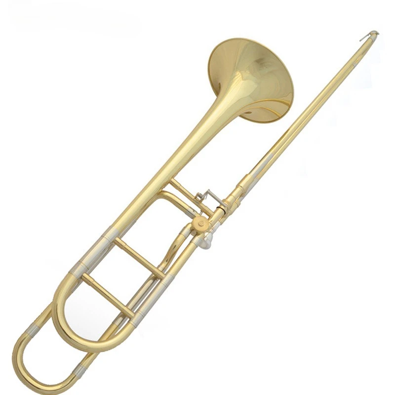 

Professional B-flat tenor trombone