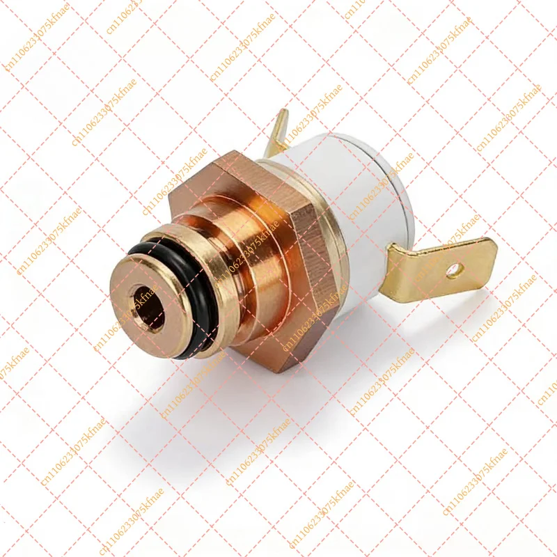 Replacement Pressure Controller Compatible for Kärcher SC3 & SG2/2 Steam Cleaners | Valve Switch Parts