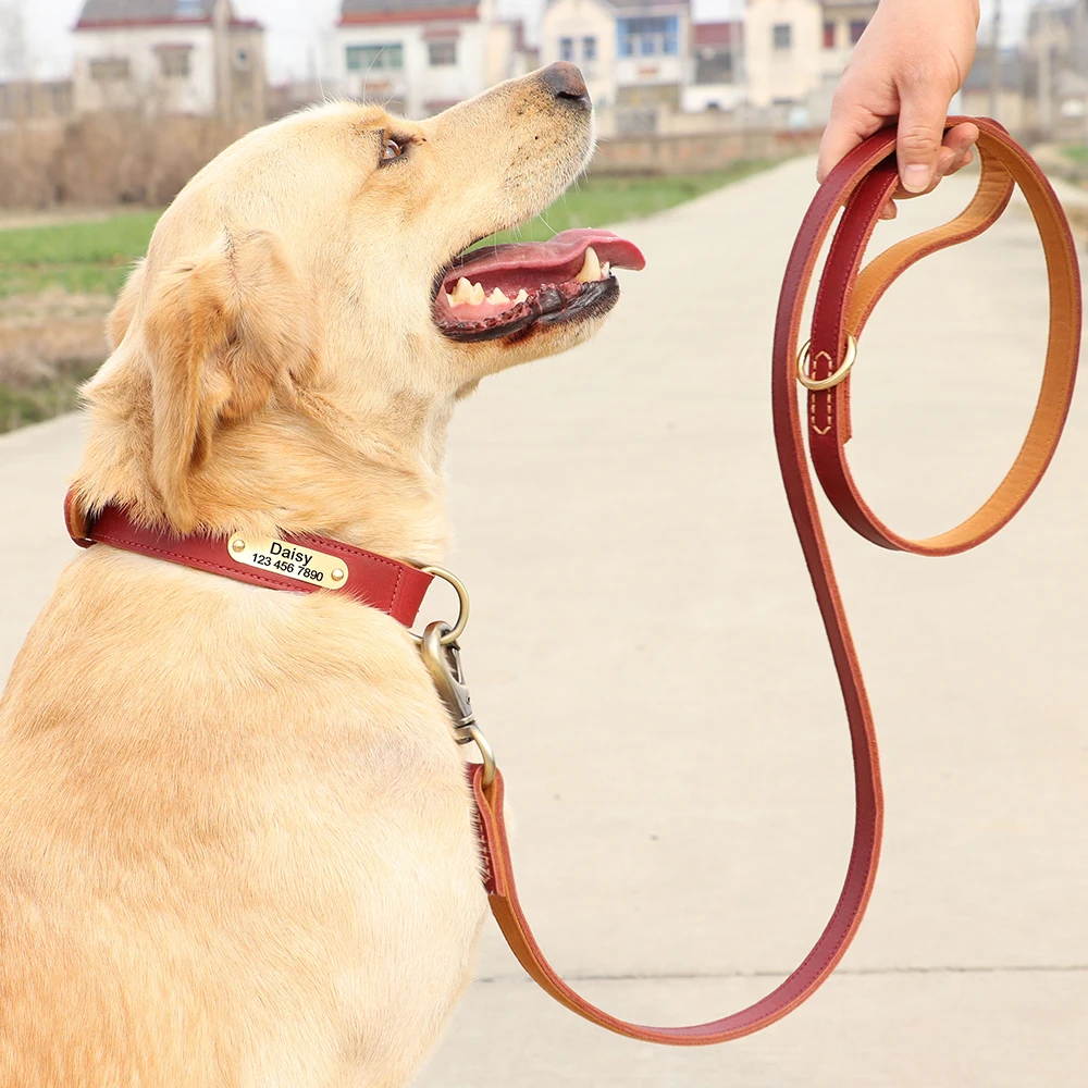 Personalized Dog Collar Leash Set Real Leather Pet Collars Dogs Walking Lead Rope With ID Tag Name Plate for Small Large Dogs