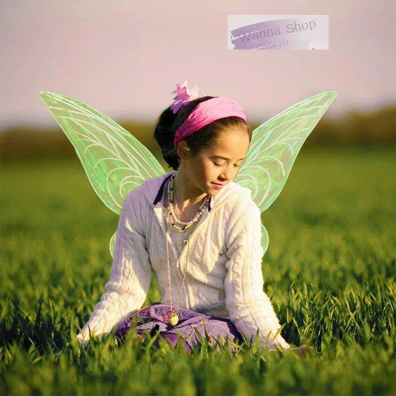 Bos Fee Vlindervleugels Kids Dance Stage Performance Kostuum Carnaval Accessoires Crown Cosplay Angel Wings Voor Meisje