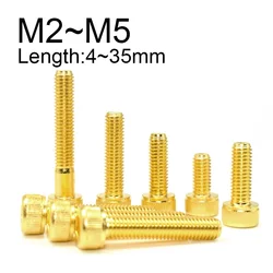 10Pcs Titanium Gold Plated Hexagon Socket Bolts M2 M2.5 M3 M4 M5 Alloy Steel Cup Head Hex Socket Screw