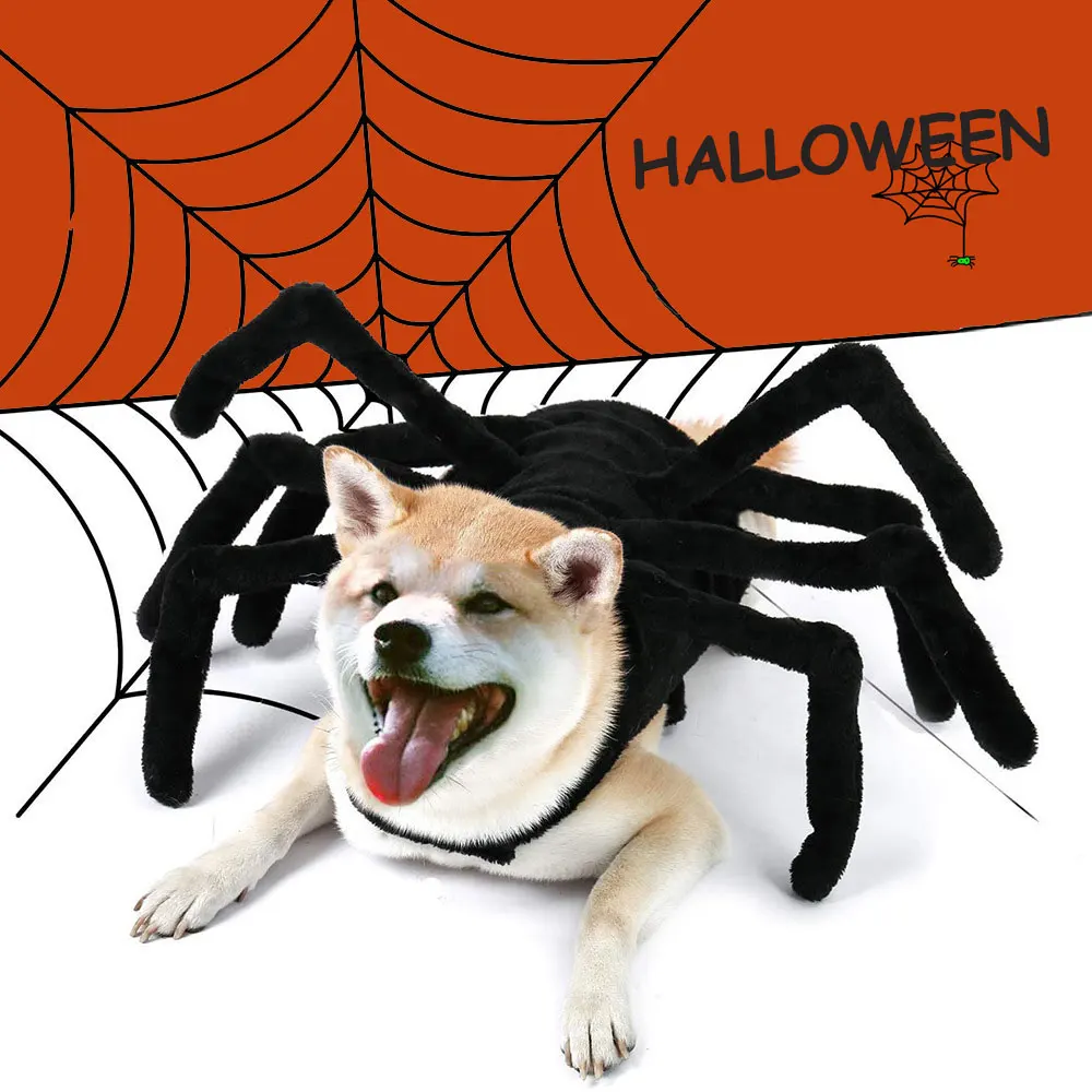 Halloween-Kostüm mit schwarzer Spinne, lustiges Cosplay-Kostüm für Katzen und kleine bis große Hunde, Haustierzubehör