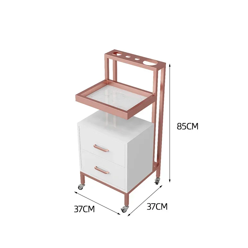 Storage Cart Wheels Tool Trolley Auxiliary Spa Equipment Multi-purpose Professional Household Aesthetic Hairdresser Rollers Car