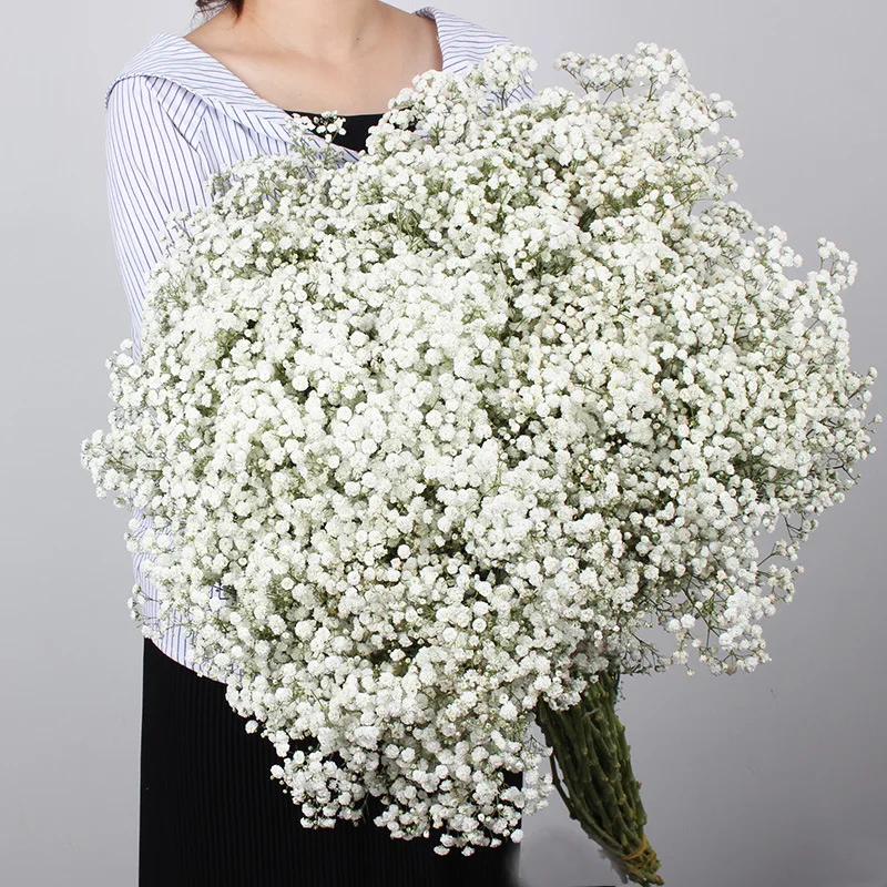 Gypsophile Real Dried Flowers Preserved Baby's Breath Flower Bouquets Gift for Wedding Party  Decoration Mariage Flores