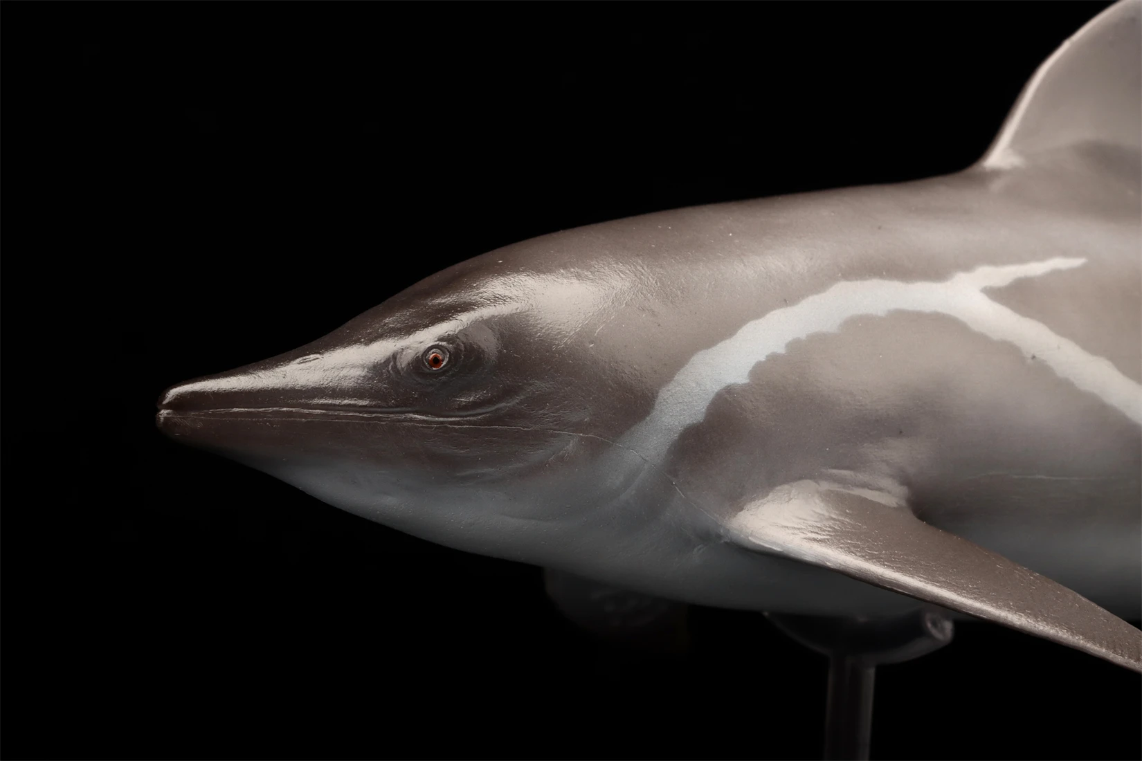 PNSO 92 Guanlingsaurus Scientific Art Model Animal Figure Collection Realistic Dinosaur Scene Decoration Birthday Gift Toys