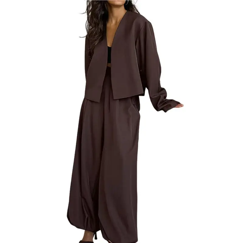 

CYL-Womens 2 Piece Outfits V-Neck Long Sleeve Tops Wide Leg Long Pants Casual Lounge Set Travel Tracksuit