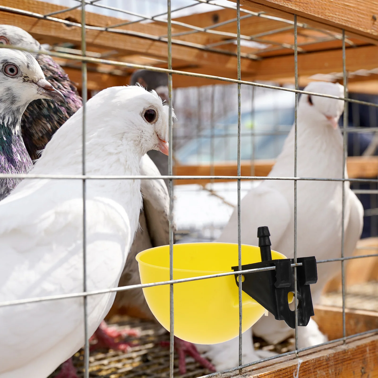 

10Pcs Plastic Automatic Water Dispenser for Pigeons Chickens Quails Easy Install Cage Drinking Feeder for Pets