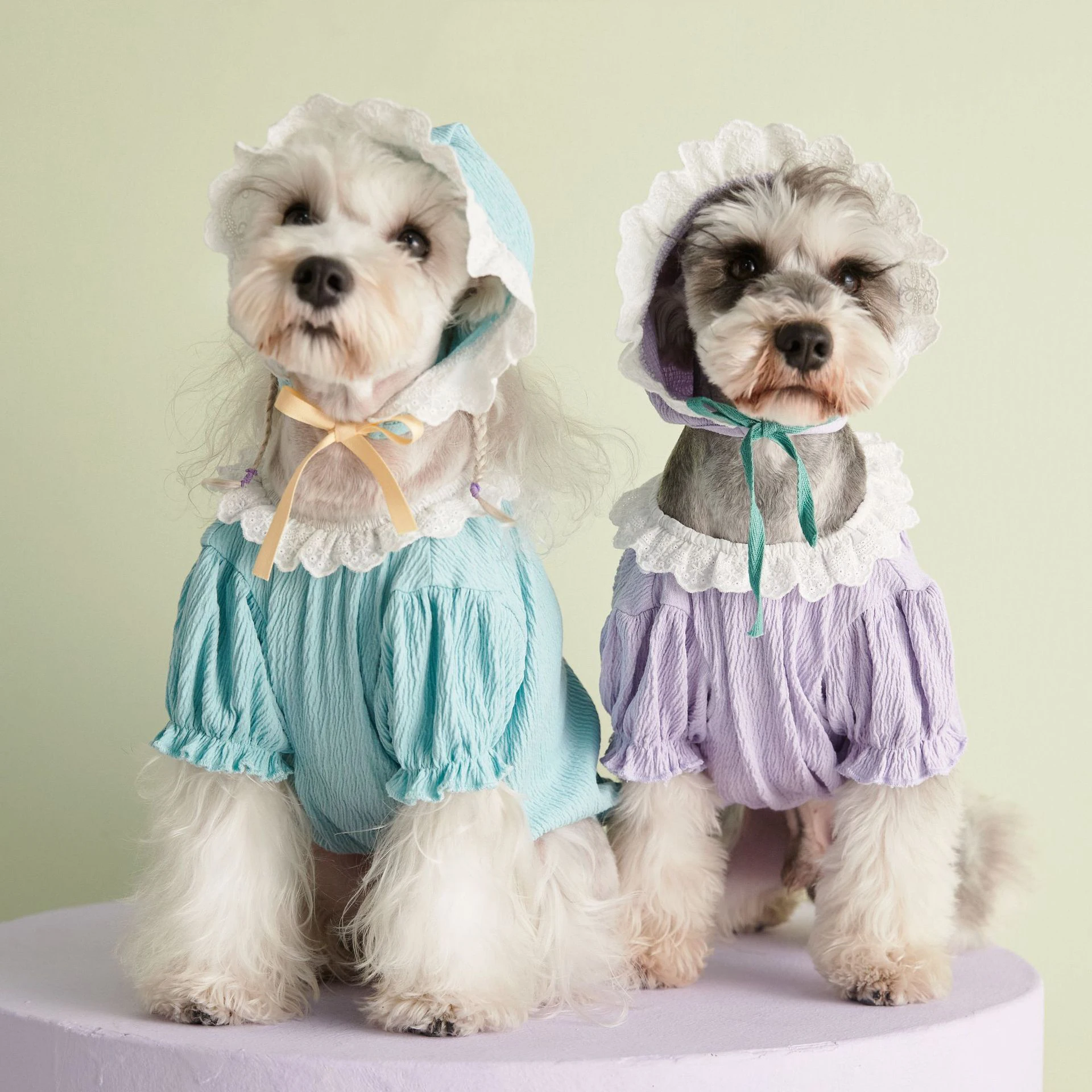 

Solid Cotton Clothing Comfortable Lace Clothes Breathable Pets Costume Cool For Puppy Cute Dogs Lovely Pet Accessories Supplier