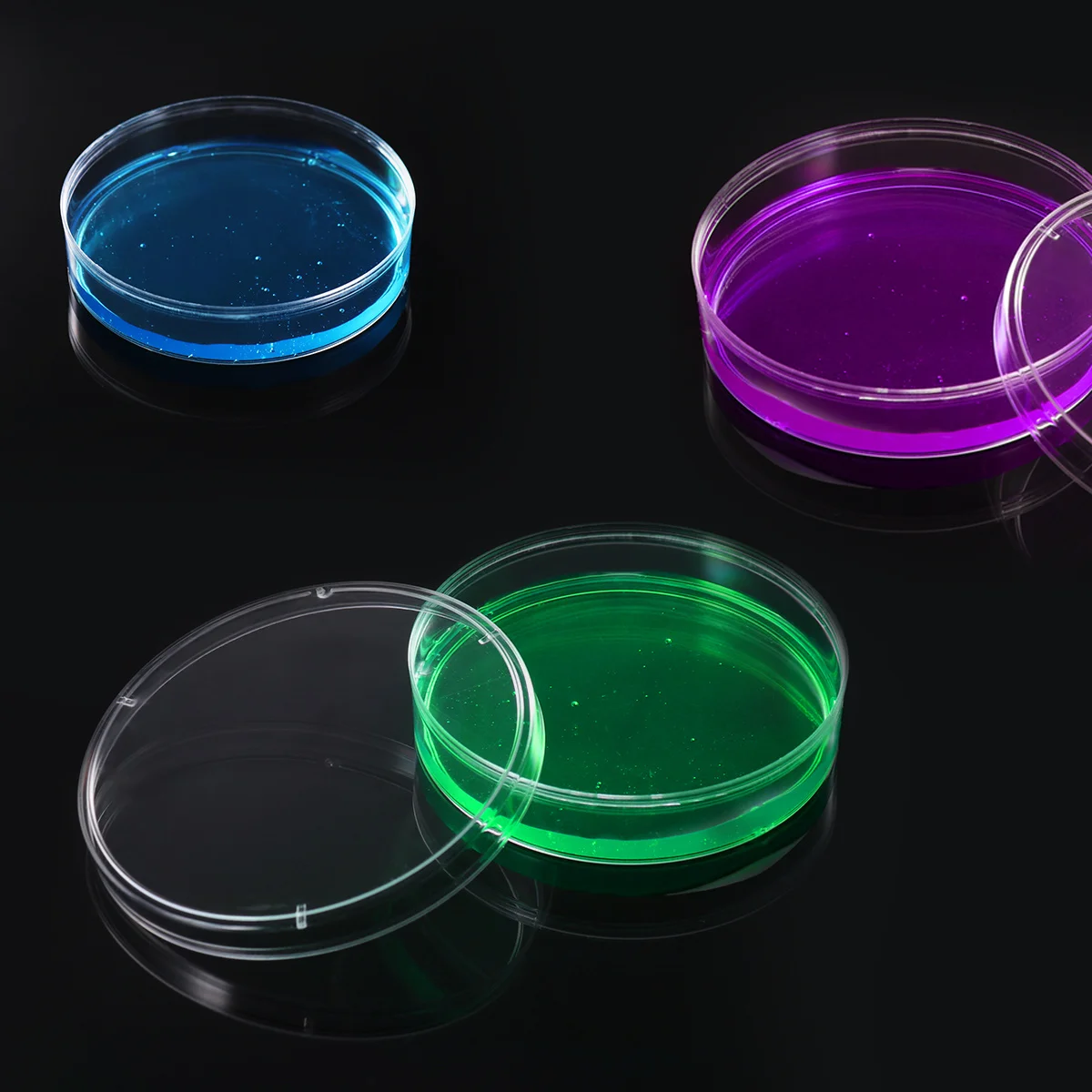 

10Pcs Plastic Petri Dishes for Culture Sterile Lightweight Portable Design with Lid High Dish Plastic Petri Dish