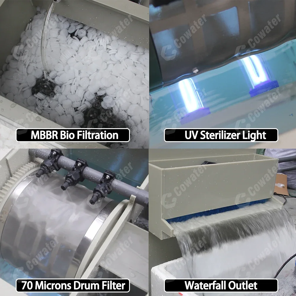 Cowater 30 M3/h Koi Pond Filtration Moving Bed Biofilm Reactor (MBBR)+UV Light + Rotary Drum Filter Koi Pond view 4