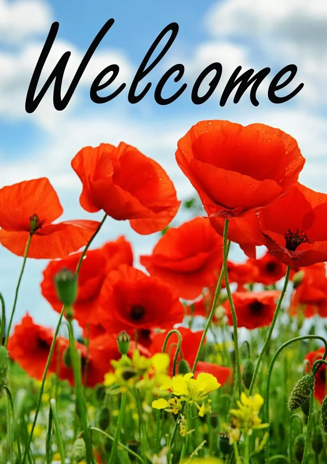 Poppies Farm Field Flowers Spring Summer Nature Scenery Welcome Garden Flag 12 x 18 Inch Double Sided Yard House Outdoor Banner