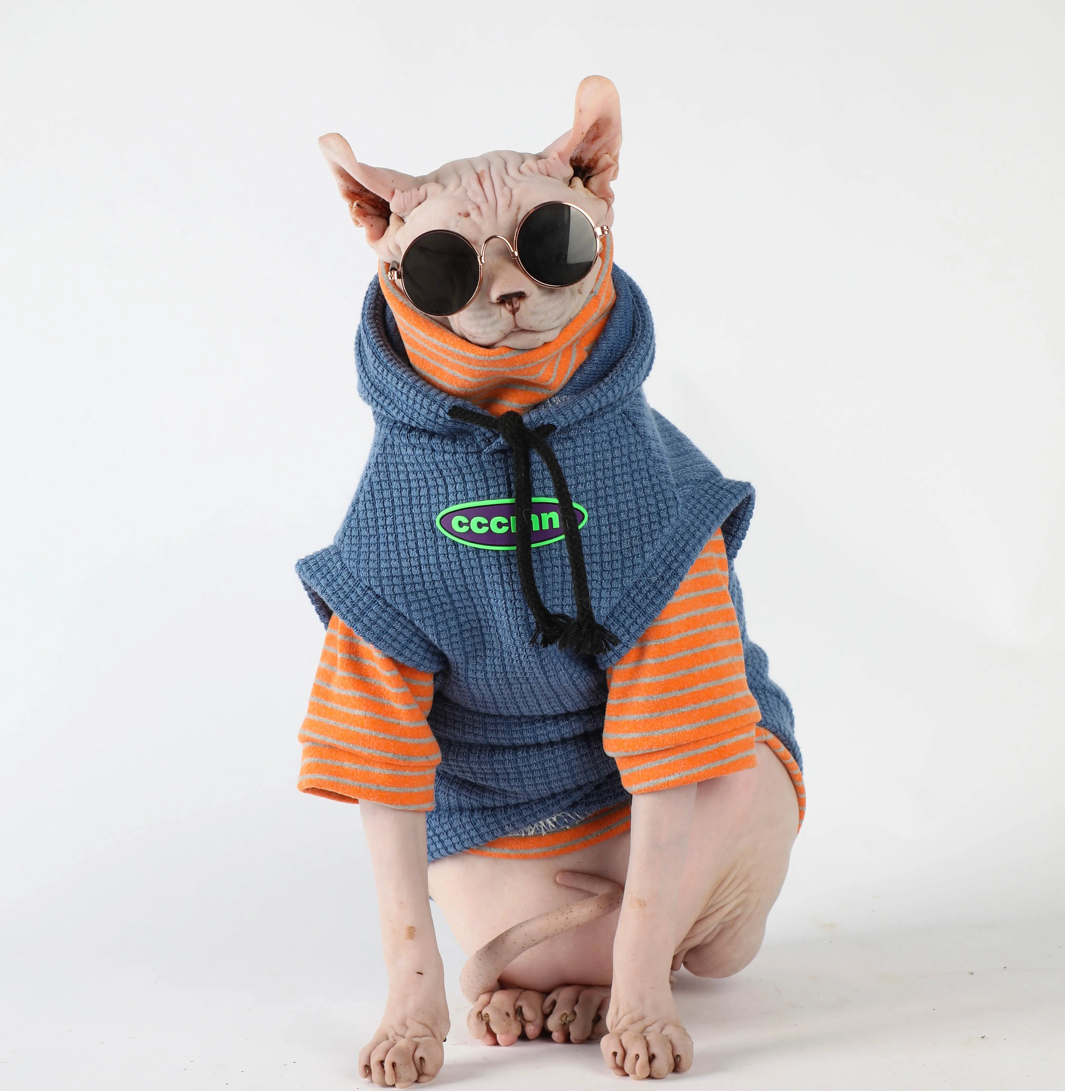 Fleece Sweatshirt Coat Suit for Sphynx Cat in Winter Thick Warm Costume for Kittens Soft Blue Jacket Striped Underwear for Devon