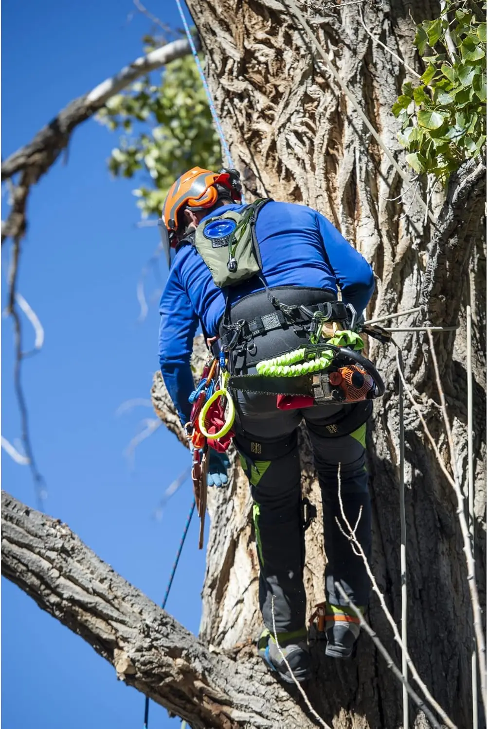 Sela de couro 8-185-LG Weaver Arborist WLC-7 com alças para pernas com almofadas de espuma viscoelástica, grande