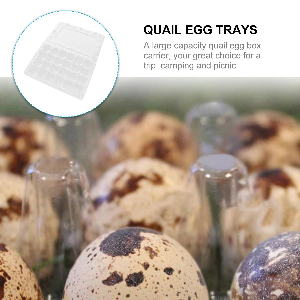 12 Pcs Quail Egg Tray Refrigerator Plastic Holder Storage Container Organizer Rack Organizing