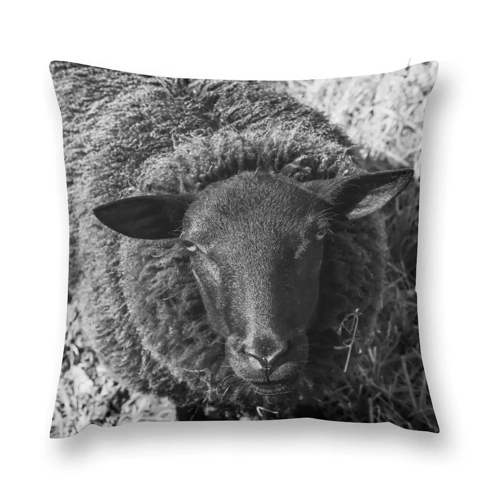 

Curious Sheep, Black and White Throw Pillow Anime Custom Cushion pillow