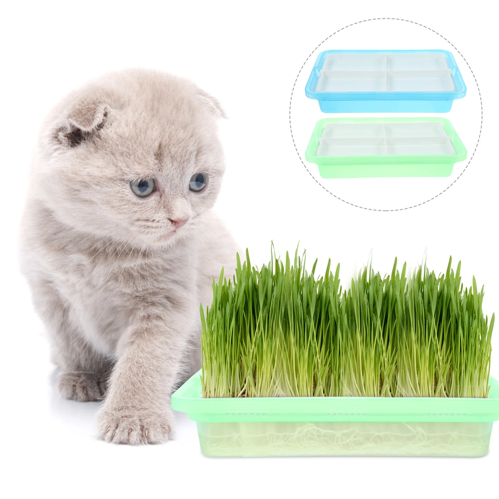

2pcs Cat Grass Planter Soilless Hydroponic System Indoor Growing Kit For Cats Practical Planting Box Household Garden Supplies