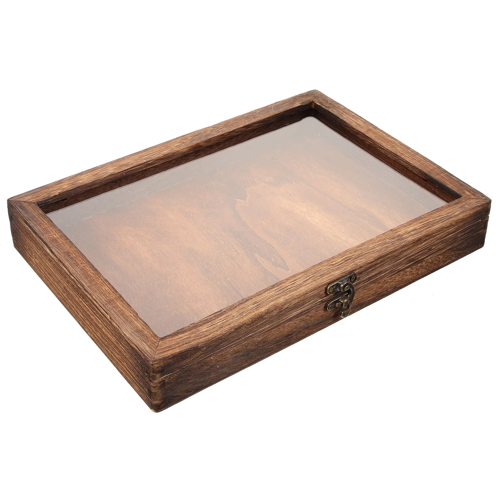 

Butterflies Display Case Wooden Box Butterfly Specimen Wall Hanging Storage Plant Cases