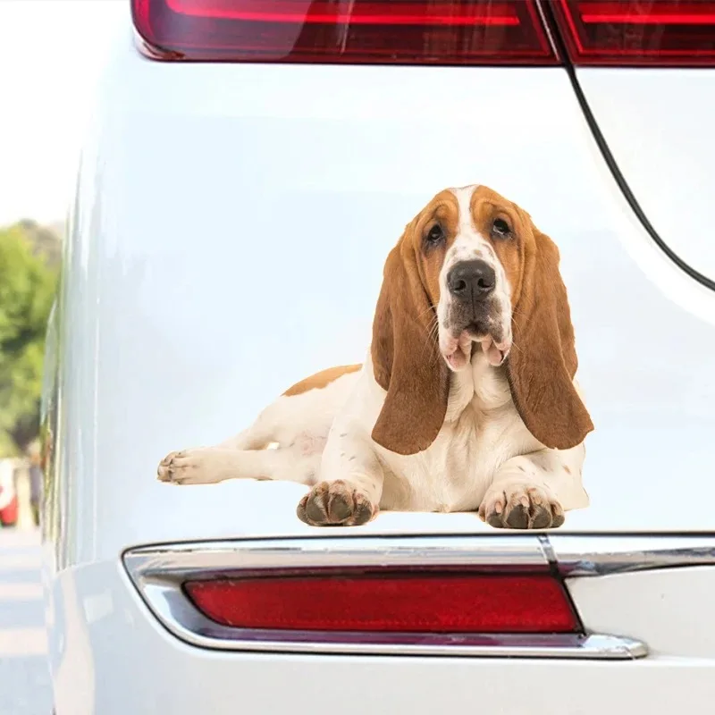 

Basset Hound On His Stomach Car Stickers Funny Creative Waterproof Vinyl Decal Motorcycle Decorative Accessories18x14cm PVC KK