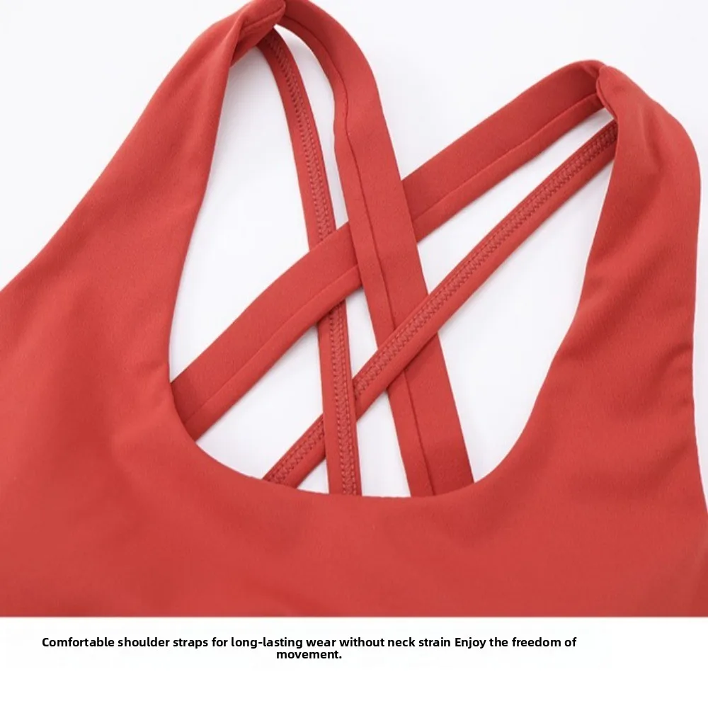 Comodo abbigliamento attivo Reggiseno sportivo per yoga Coppa fissa Intimo fitness senza cuciture Canotte che assorbono il sudore Reggiseno da allenamento per donna Lady