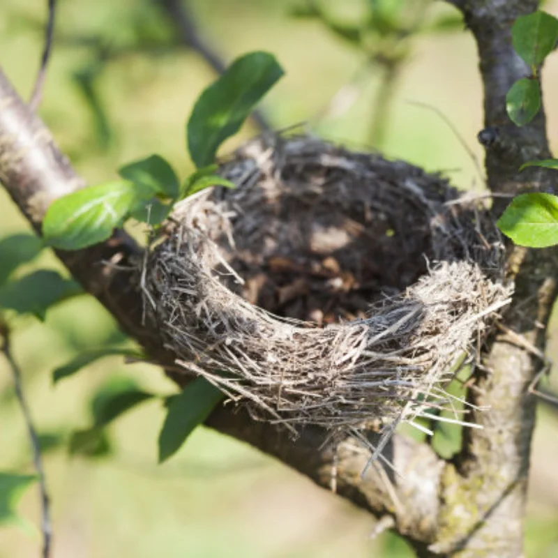 

Alloy Robotic DIY Car Chassis DIY Car Robot With TT Motor Set 1 Layer RC Tank Chassis Building Block Motor 3-9v Crawler Smart