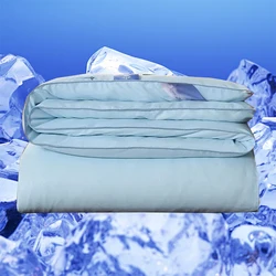 InjQuilt-Édredon en coton de mûrier, couette épaissie, double noyau, climatisation, été, printemps, 100% authentique