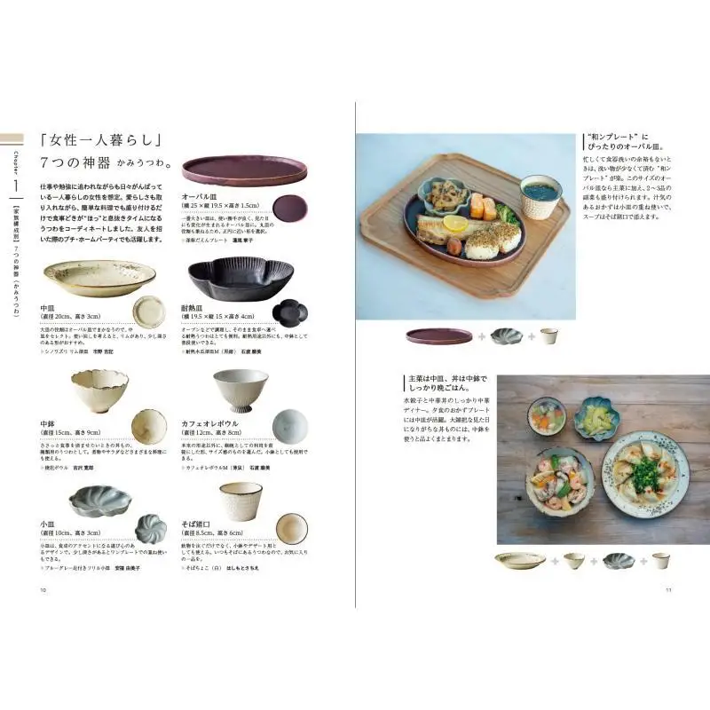 Choice All Right It Fits This Book Makes Use Of Tableware More Fun Tsuzuki Kumiko Anno Exknowledge 9784767831374 Book