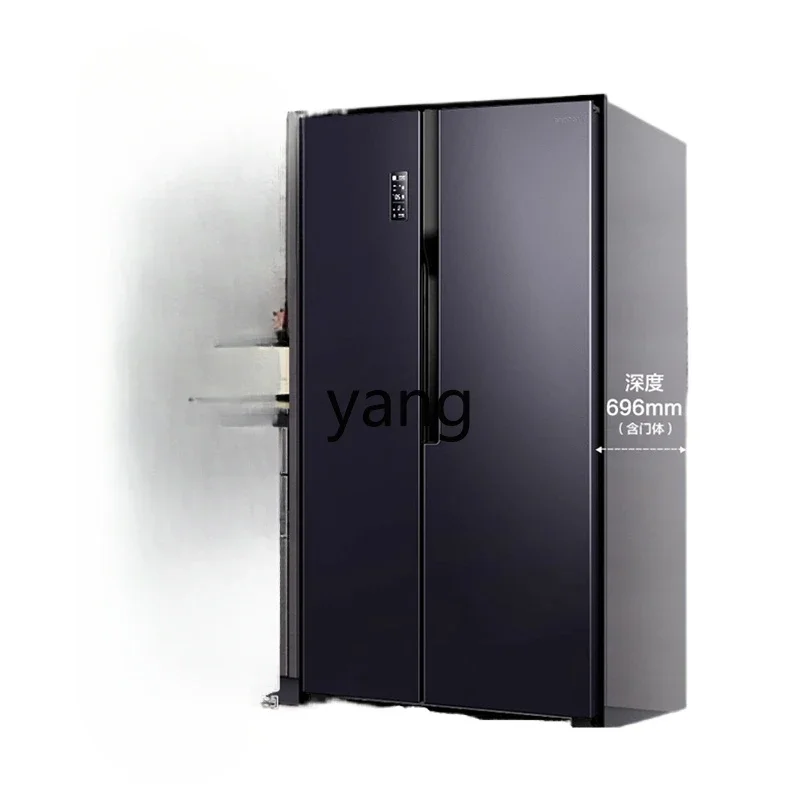 CX 609L ion net taste folio double door large capacity air cooling household first-class frequency conversion ultra-thin