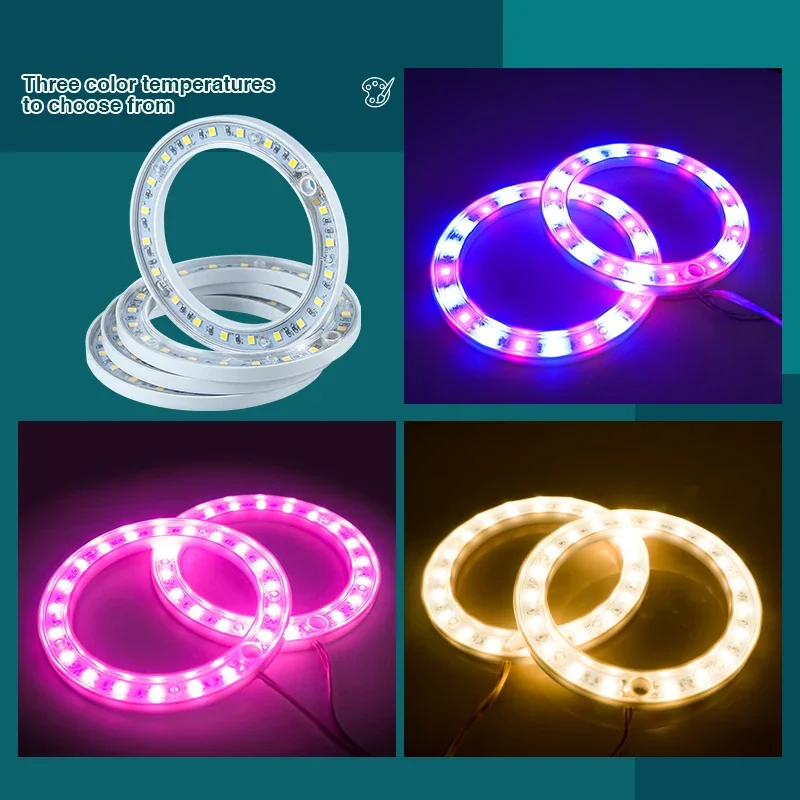 Imagem -05 - Led Anjo Anel Crescer Luzes Espectro Completo Lâmpada para Plantas Flores Mudas Estufa Usb Phytolamp Interior Luz de Crescimento dc 5v