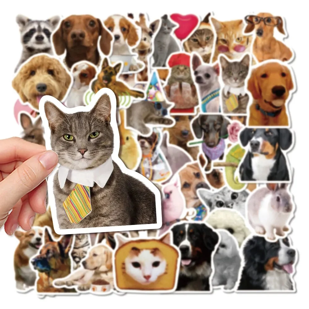 10/30/52 قطعة مضحك الكرتون الحيوان ميمي ملصقات لطيف القط الكلب الشارات Skateboard بها بنفسك سكيت الهاتف الأمتعة خوذة الكتابة على الجدران ملصق للهدايا #4