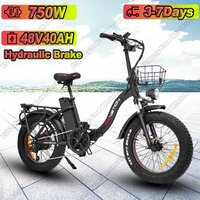 CT20 Electric Bike 750W Brushless Motor 48V40AH Dual Battery Oil Brake E-bike 20 Inch Fat Tire Snow All-Terrain Electric Bicycle