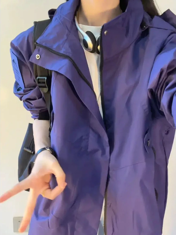 

Водонепроницаемое ветрозащитное уличное мягкое пальто с капюшоном ell Jaet для мужчин, фиолетовое функциональное пальто на весну и осень, горная серия