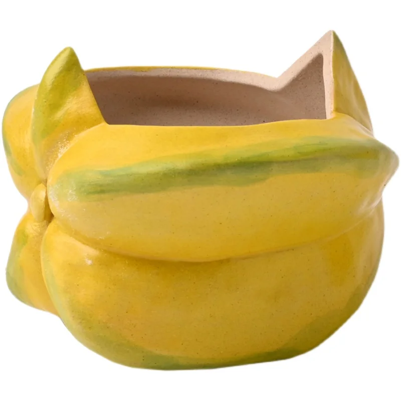 

Original and creative home simple style balcony light luxury hand-painted star fruit ceramic succulent flower pot