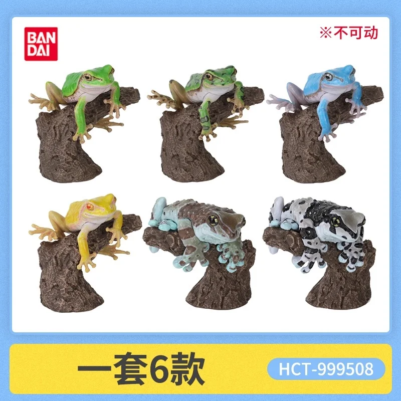 Bandai Gashapon – grande carte biologique originale, grenouille à cornes d'animaux, Lepidobatrachus Llanensis, Simulation, modèle de figurine d'action mobile