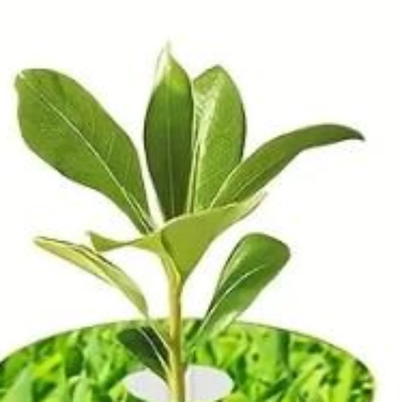 Aerogarden Seed Pod - Aerogarden için 67 adet tohum kabuğu