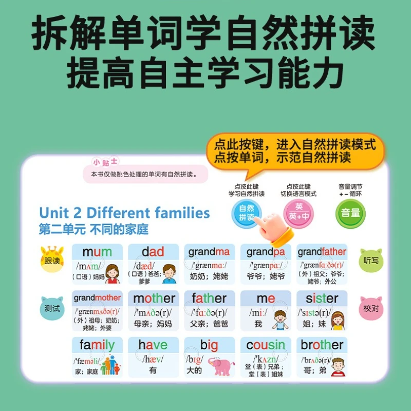 Primary School English Vocabulary Audiobook, Children's Cognitive Early Education, English Learning Book