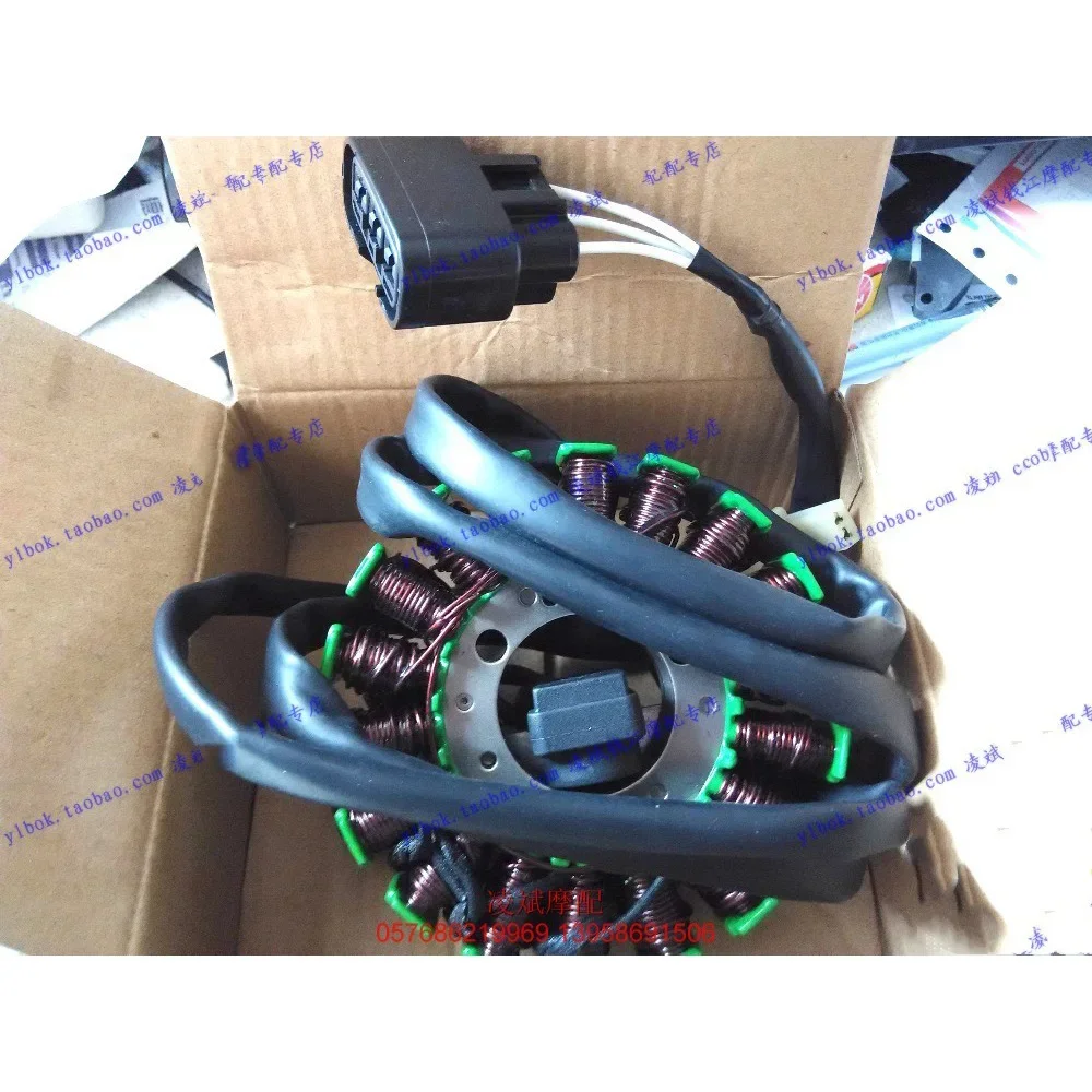 Motorcycle Ignition Magneto stator for Benelli Zafferano 250 BJ250T-8 KEEWAY RK5 Silverblade 250 Insignia 250