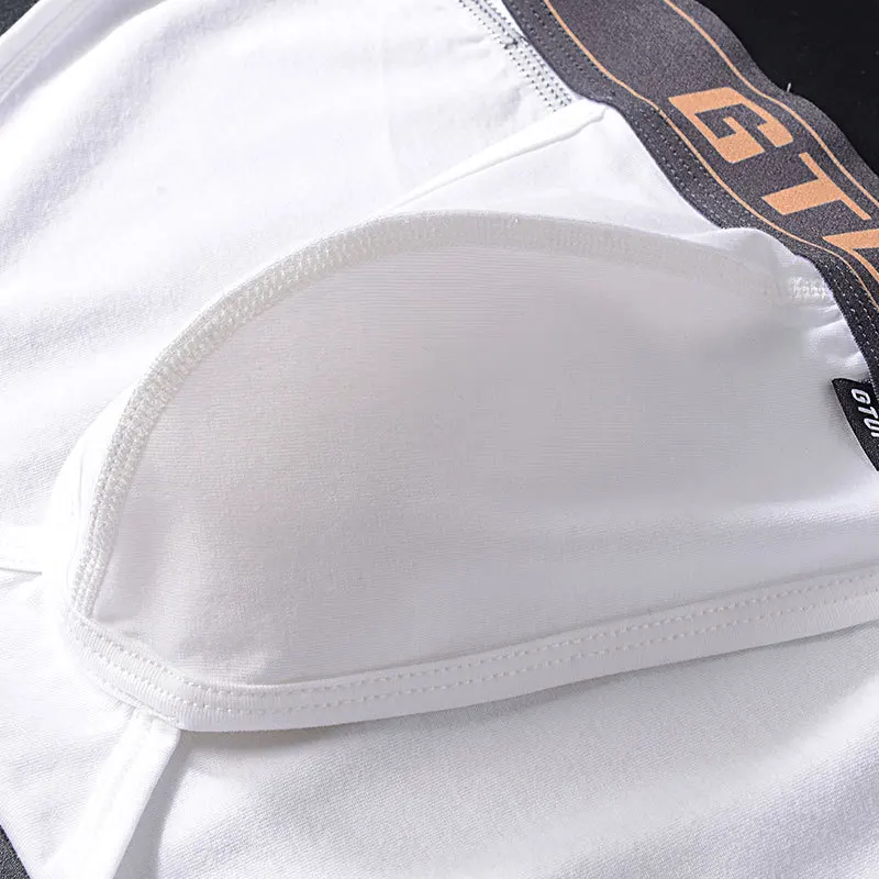 2pcs Mens Sexy Underwear Cotton Low Waist Briefs Comfortable Breathable U Convex Bag Sexy Men Briefs