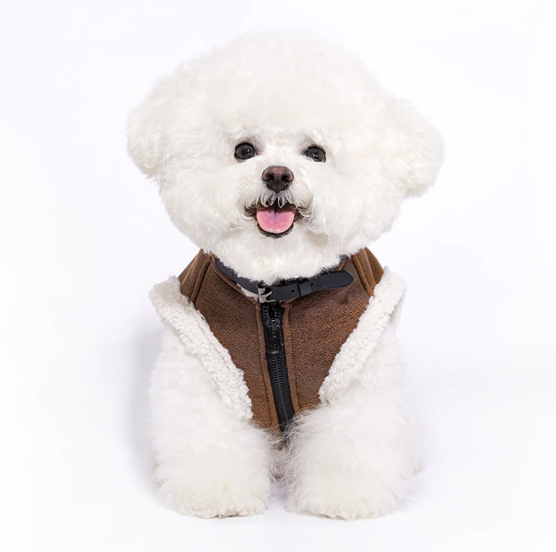 Warm Windproof Monochromatic Dog Coat, Cotton Designer Clothes for Large Dogs, Puppy Accessories, Winter