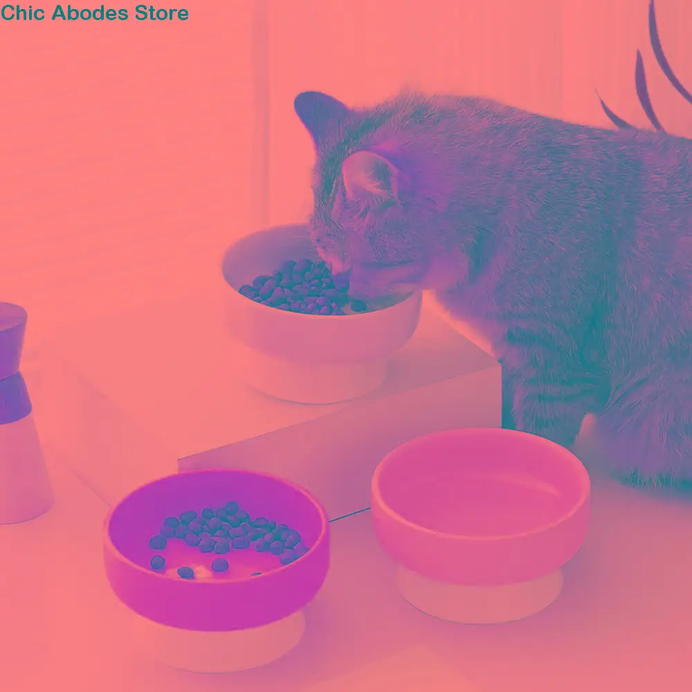 

Pet Supplies Ceramic Cat Bowl Cute Large Capacity Dog Food Feeding Basin Non-slip Anti Tipping Pet Drinking Feeder Kitten Puppy