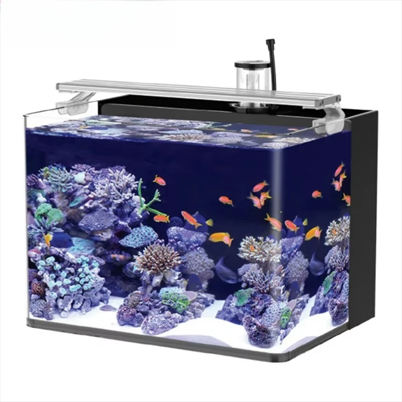 

Delivery table curved seawater fish tank ultra-transparent glass aquarium living room bedroom office decoration