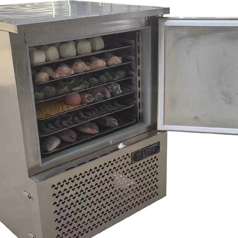 Moisture Lock Fresh Keep Compact Commercial Vegetable Freezer EnergySaving Small Businesses Oemodm