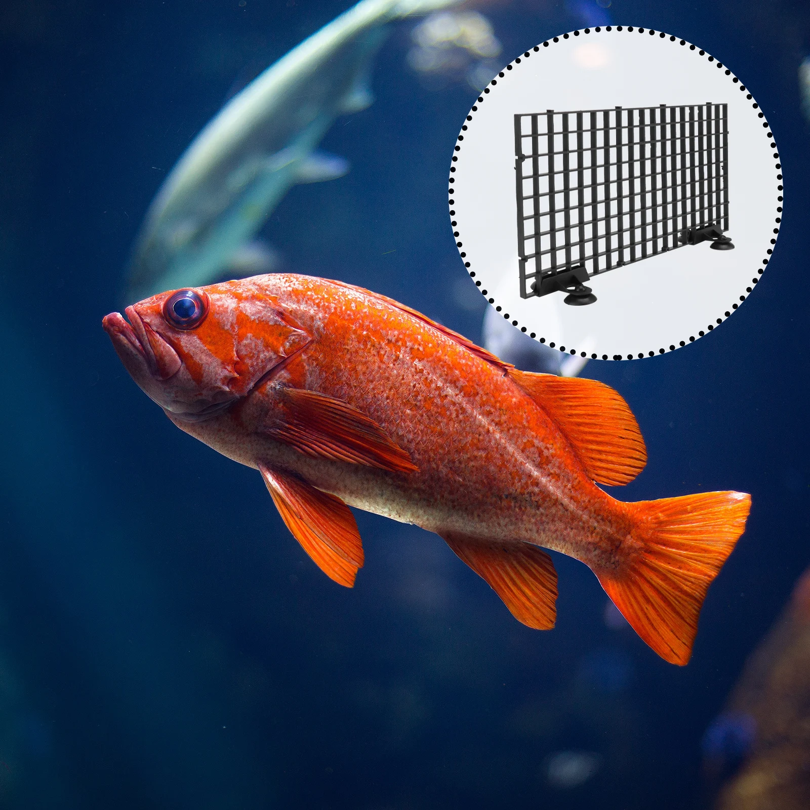 

Fish Segregation Board Black Big Size For Aquarium With Clamps Plastic Net Fry Protection Tank Accessory Filter Grid Plate