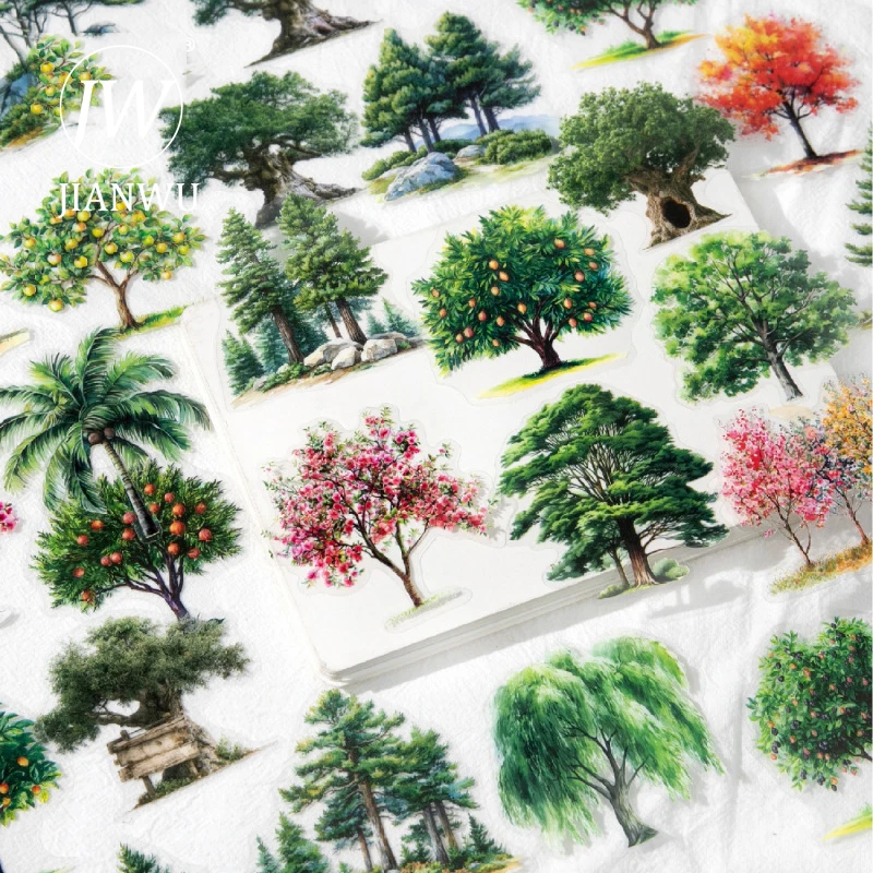 Jianwu Romantic For…