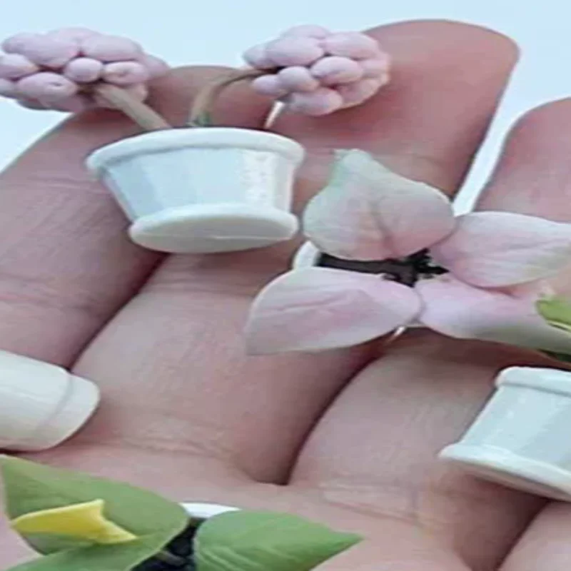 2PCS 1:12 Dollhouse Miniature Plants Small Flower Pots Model Funiture Accessories For Doll House Decor Kids Pretend Play Toys